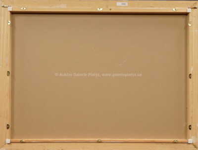  / Muž s knírem / Dominik Wallenfels