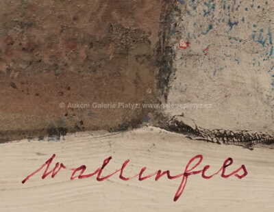  / Muž s knírem / Dominik Wallenfels