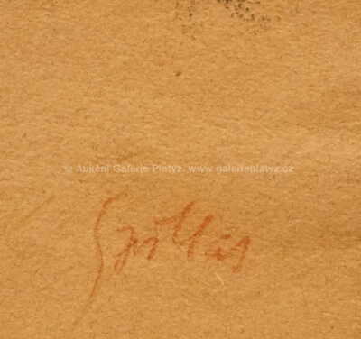  / Studie ženy / Karel Špillar