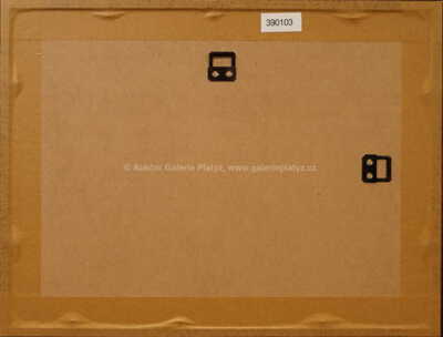  / Opička / Adolf Born