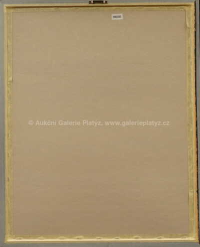  / Živly / Adolf Born