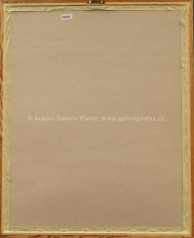  / Světadíly / Adolf Born