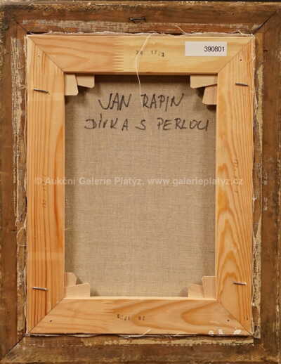  / Dívka s perlou / Jan Rapin