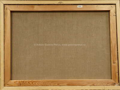  / Zahrada / Vladimír Komárek