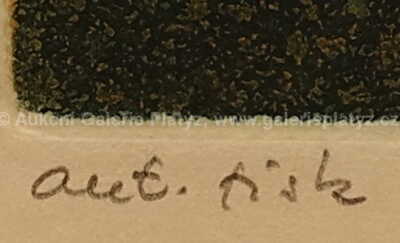  / Hlava / Josef  Istler