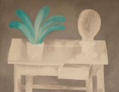  / Kaktus / Vladimír Komárek