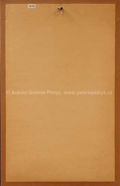  / Zamyšlená / Ota Janeček