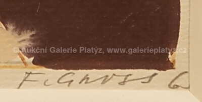  / Postava / František Gross