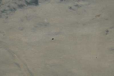  / Zasněžený les / Karel Schadt