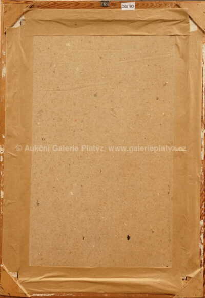  / Torzo v krajině / Václav Tikal