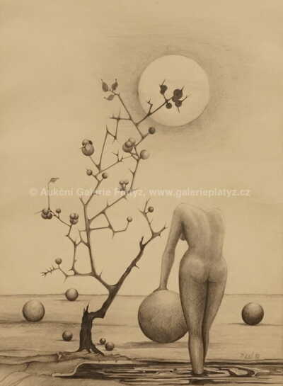  / Torzo v krajině / Václav Tikal