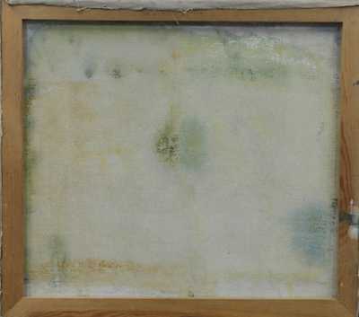  / Krajina / Jiří Načeradský