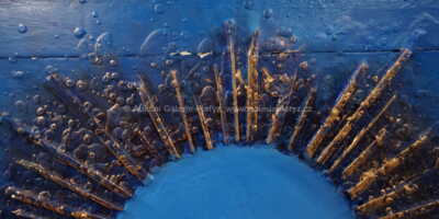  / Sluníčko - Monstrance / Jan Saudek