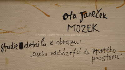  / Mozek / Ota Janeček