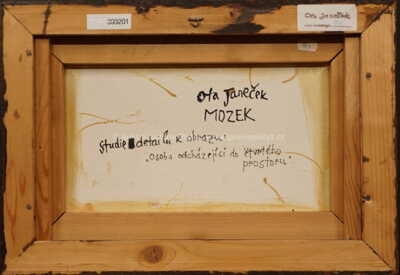  / Mozek / Ota Janeček