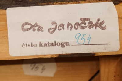  / Mozek / Ota Janeček