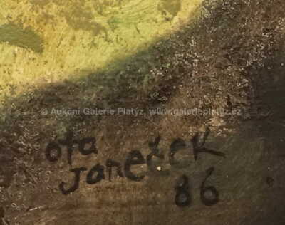  / Mozek / Ota Janeček