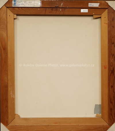  / Tání pod městem / Ladislav Karoušek