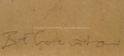  / Abstrakce / Andrej Bělocvětov