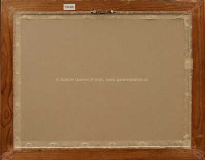  / Abstrakce / Andrej Bělocvětov