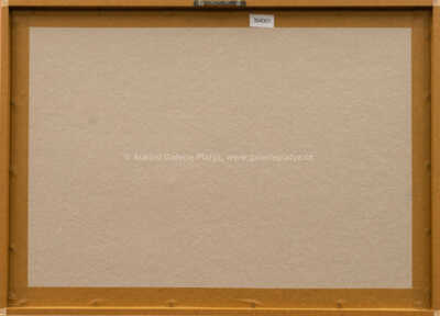  / Vous devriez bien nous la foutre! / František Kupka