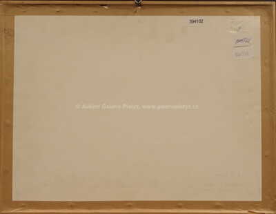  / Mořská sůl / Zdeněk Burian