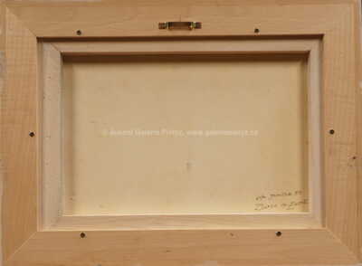  / Zlunce a Země / Ota Janeček