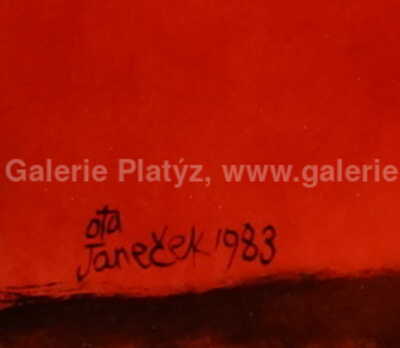  / Zlunce a Země / Ota Janeček