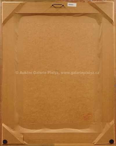  / Andělská křídla / Libor Fára