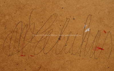  / Žena z Mičinej s nošou / Milan Laluha