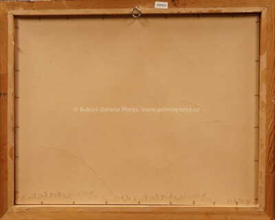  / Zátiší s flašou / Andrej Barčík