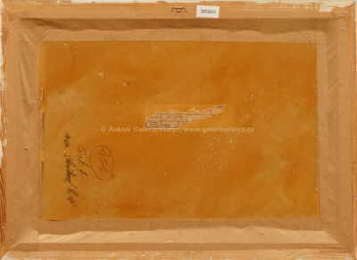  / Na skalce / Josef Procházka