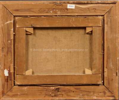  / Pohled do údolí / Václav Malý