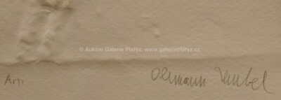  / Andělíček 2 / Olbram Zoubek