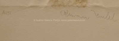  / Thamar / Olbram Zoubek