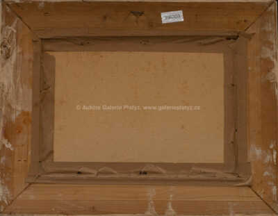  / Snopy / Jiří Heřman