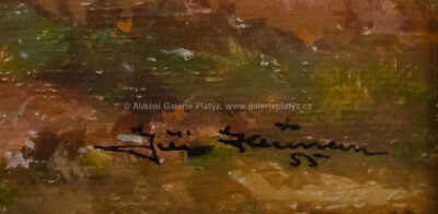  / Snopy / Jiří Heřman