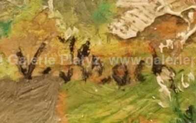  / Z Dalmácie / Vladimír Hroch