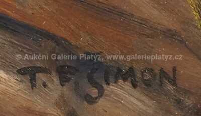  / Sokolský slet / František Tavík Šimon