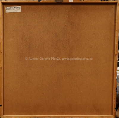  / Přelet polárního motýla / František Blažíček