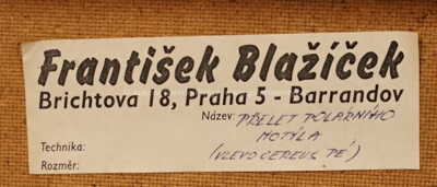 / Přelet polárního motýla / František Blažíček