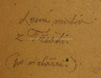  / Letní motiv z Třešti / Vratislav Vosátka