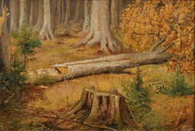  / Padlý strom / Vratislav Vosátka