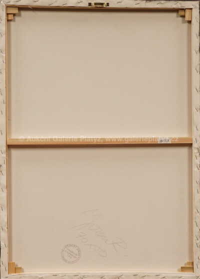  / Říční lázně / Robert Jiran