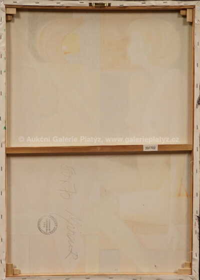  / Nahé přítelkyně / Robert Jiran