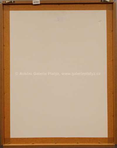  / Derby: Sparta - Slavia, 1948 / Marcel Niederle