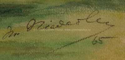  / Sparta - Slavia, 1965 II. / Marcel Niederle