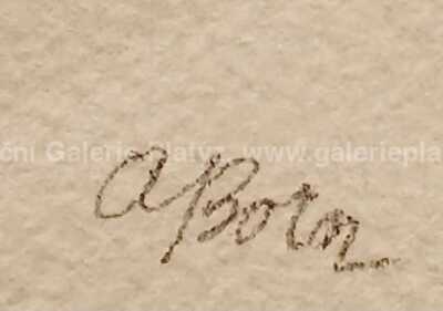  / Drezúra / Adolf Born