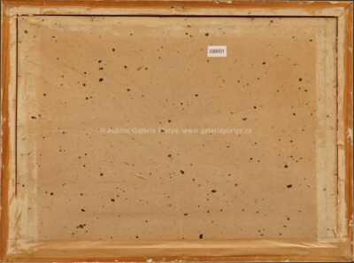  / Karlův most / Jaroslav Šetelík