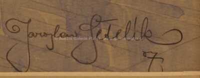  / Karlův most / Jaroslav Šetelík